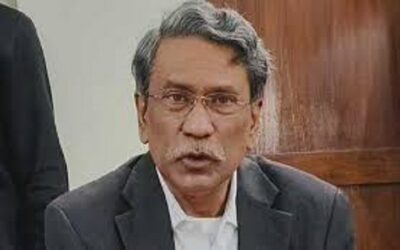 নির্বাচন নিয়ে কমিশনের উপর কোনো চাপ নেই: আলী রীয়াজ