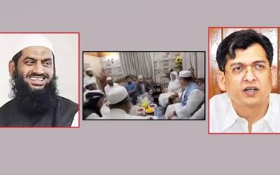উর্দু ভাষায় আলাপচারিতার ভিডিও ভাইরাল, যা বলছেন সালাহউদ্দিন ও মামুনুল